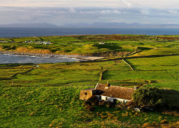 L'Irlande : ses côtes, ses prairies et ... sa laine