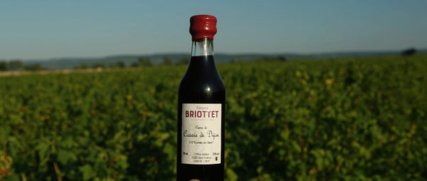 Briottet, au royaume du Cassis de Dijon
