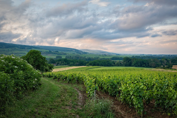 Bourgogne-Franche-Comté : 8 lieux de savoir-faire incontournables
