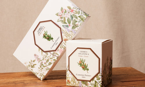 Carrière Frères - La Bougie Parfumée